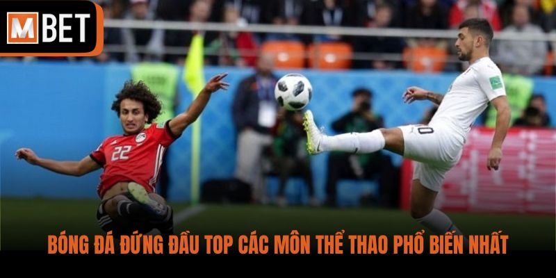 Bóng đá đứng đầu top các môn thể thao phổ biến nhất