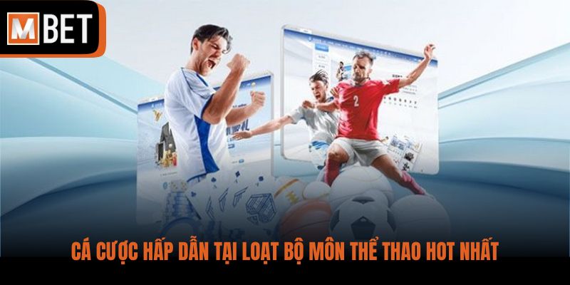 Cá cược hấp dẫn tại loạt bộ môn thể thao hot nhất