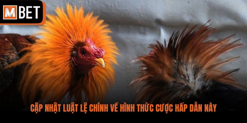 Cập nhật luật lệ chính về hình thức cược hấp dẫn này