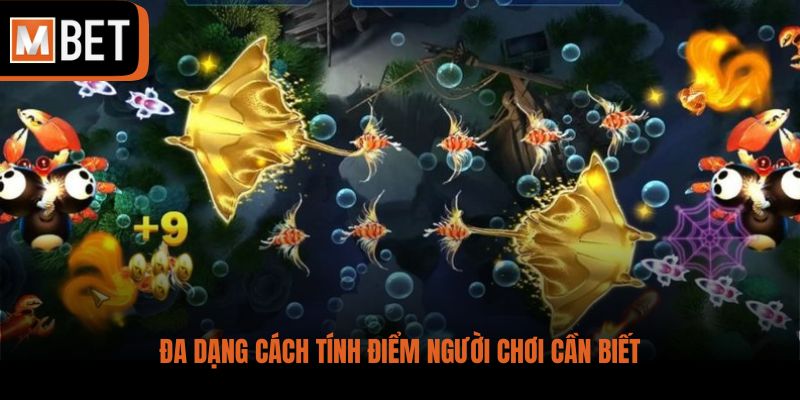 Đa dạng cách tính điểm người chơi cần biết