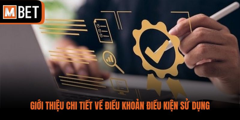 Giới thiệu chi tiết về điều khoản điều kiện sử dụng