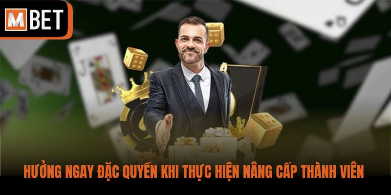 Hưởng ngay đặc quyền khi thực hiện nâng cấp thành viên