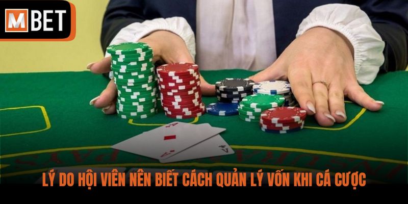 Lý do hội viên nên biết cách quản lý vốn khi cá cược