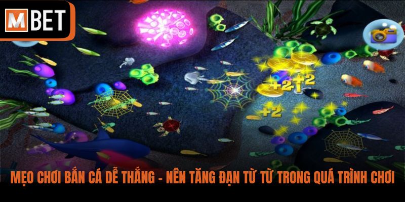 Mẹo chơi bắn cá dễ thắng - Nên tăng đạn từ từ trong quá trình chơi