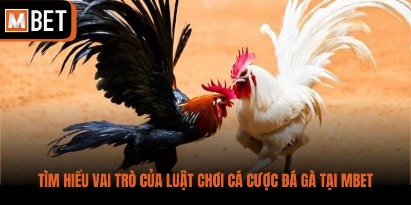 Tìm hiểu vai trò của luật chơi cá cược đá gà tại MBET