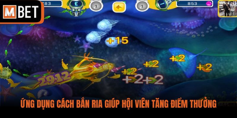 Ứng dụng cách bắn ria giúp hội viên tăng điểm thưởng